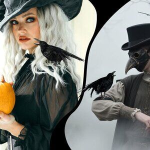 Halloween Realistic Crow Black Feather Crow
